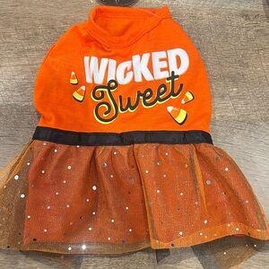 Wicked Cute Orange Dog Dress for Halloween size XS